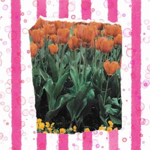 Music for Getting Better - Lively Jazz-hop - Relaxing Lo Fi