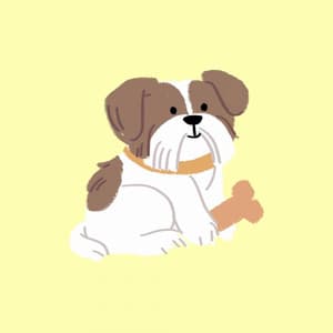 Background Music for Doggy Hope - Dog Music Therapy