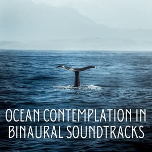 Ocean Contemplation in Binaural Soundtracks - Binaural Beats Pure