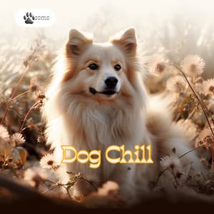 Dog Chill: No Fading in the Relaxation - PAWsome
