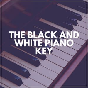 The Black and White Piano Key - Piano Mood