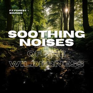 Soothing Noises of the Wilderness - FX Forest Sounds