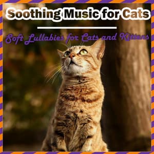 Soothing Music for Cats - Soft Lullabies for Cats and Kittens - RelaxMyCat