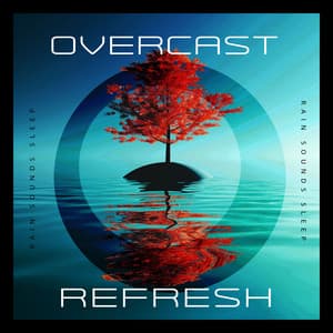 Overcast Refresh - Rain Sounds Sleep