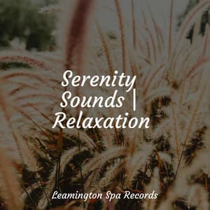 Serenity Sounds | Relaxation - Meditation Music Club