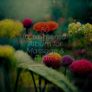 50 Instrumental Album for Massage & Pilates - Música Zen Relaxante