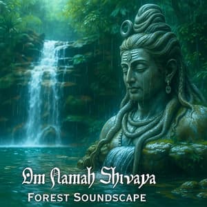 Om Namah Shivaya, Forest Soundscape - Craig Peruss