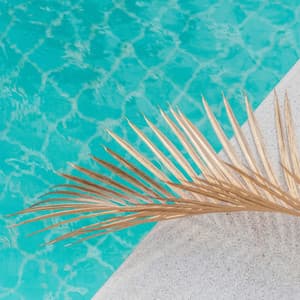 Elegant Chillout: Wonderful Playlist Lounge - Sunset Chill Out Music Zone