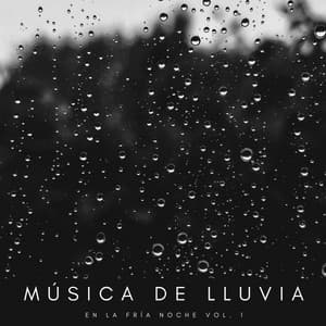 Música De Lluvia En La Fría Noche Vol. 1 - Ruidos de la Selva