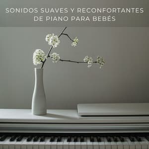 Sonidos Suaves Y Reconfortantes De Piano Para Bebés - Proyecto de piano