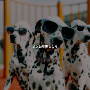犬とお昼寝しよう - Cafe Music