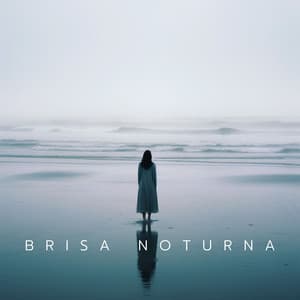 Brisa Noturna: Fragmentos da Terra - Academia Sons da Natureza