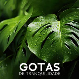 Gotas de Tranquilidade: Mãe Natureza Calma, Pássaros do Bosque, Canções Calmantes da Natureza - Natureza Musica Bem-Estar Academia