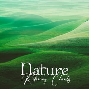 Nature Relaxing Chants – Soothing Green Noise, Sweet Bird Sing, Dreamy Tropical Forest Ambience - Green Noise Dimension
