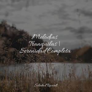 Melodías Tranquilas | Serenidad Completa - Masajes Spas