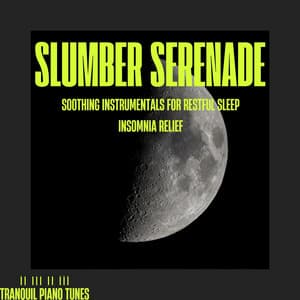 Slumber Serenade: Soothing Instrumentals for Restful Sleep, Insomnia Relief - Tranquil Piano Tunes