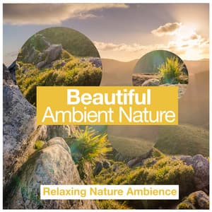 Beautiful Ambient Nature - Relaxing Nature Ambience