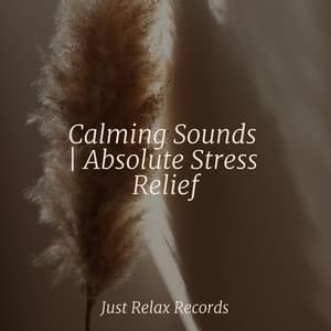 Calming Sounds | Absolute Stress Relief - Easy Sleep Music