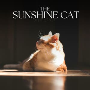 The Sunshine Cat - Cat Songs
