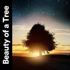 Beauty of a Tree - Rain Sounds Nature Collection