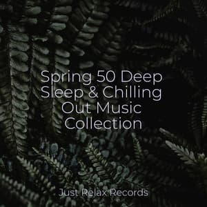 Spring 50 Deep Sleep & Chilling Out Music Collection - Healing Yoga Meditation Music Consort