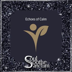 Echoes of Calm: A Sanctuary for the Soul - Soul Soothe Sanctum