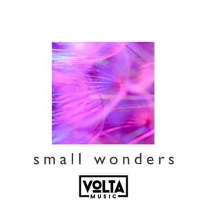 Small Wonders - Jay Price