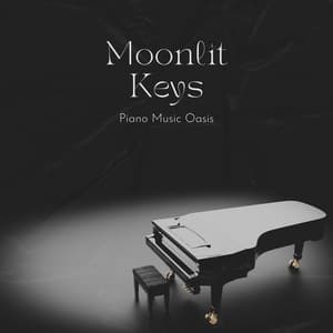 Moonlit Keys: Relaxing Instrumental Piano - Piano Music Oasis