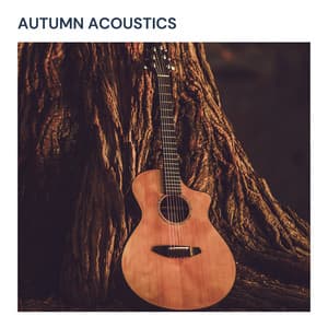 Autumn Acoustics - Instrumental Guitar Collective