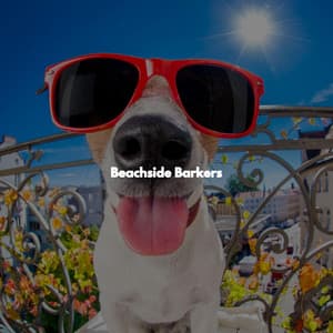 Beachside Barkers - Quiet Jazz & Coffee