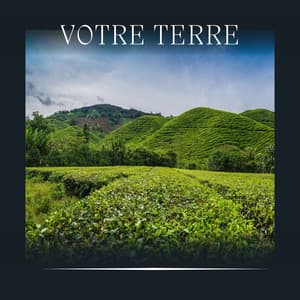 Votre Terre - Nature Sounds - Sons de la nature