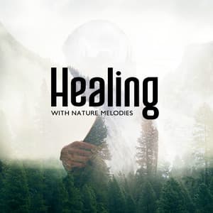 Healing with Nature Melodies: Heal Your Wounds with Sounds of Nature, Meditation with Instruments and Nature - Natural Healing Music Zone