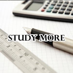 Study More - White Noise Research