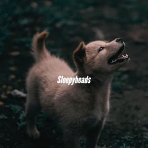 Sleepyheads - New York Steakhouse Jazz