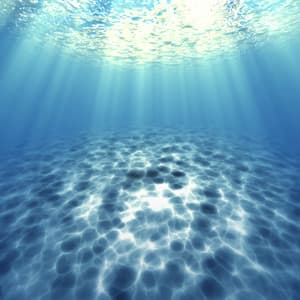 Whalesong Dimensions: Deep Sea Healing Sounds and Ambient Whalesong for Total Relaxation in Alfa State - Serena Beatty