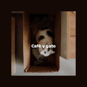 Café y gato - Coffee Shop BGM