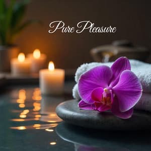 Pure Pleasure: Spa Relaxation Music - Relaxing Spa Vibes