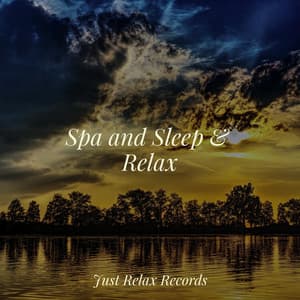 Spa and Sleep & Relax - Sleep Baby Sleep