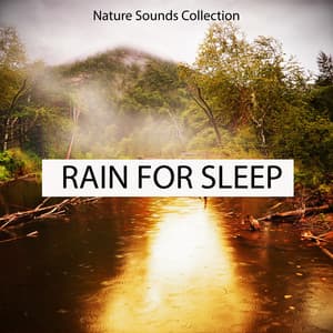 Nature Sounds Collection Rain for Sleep - Rain Sounds & Nature Sounds