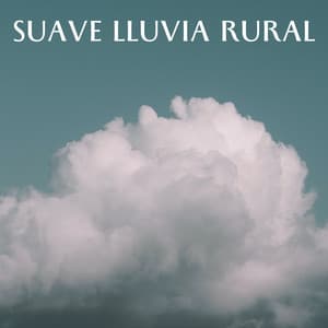 Suave Lluvia Rural - Meditaciones de lluvia