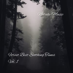 Nature Music: Forest Best Soothing Tunes Vol. 1 - Soothing Music