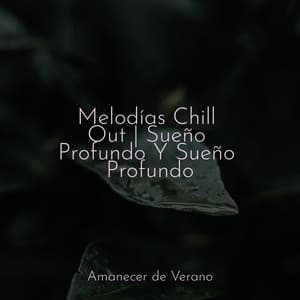 Melodías Chill Out | Sueño Profundo Y Sueño Profundo - Guided Meditation