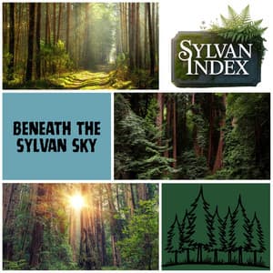 Beneath the Sylvan Sky - Sylvan Index