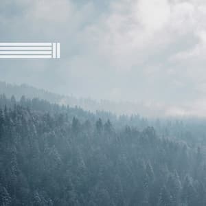 Waldgeräusche, Vogelgeräusche - Vogelstimmen Welt