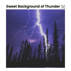 Sweet Background of Thunder - Thunderstorm