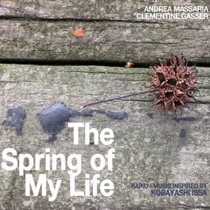 The Spring of My Life - Andrea Massaria