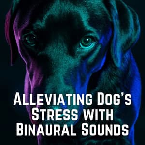 Alleviating Dog's Stress with Binaural Sounds - Ambient Tech
