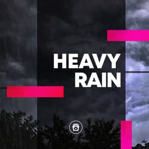 Heavy Rain - Jungle Sounds