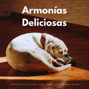 Armonías Deliciosas Para Perros: Música Para Cachorros Felices - Acústicamente