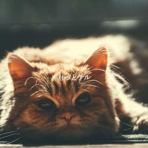 もっとチル - Calming Instrumental Jazz Ambiance